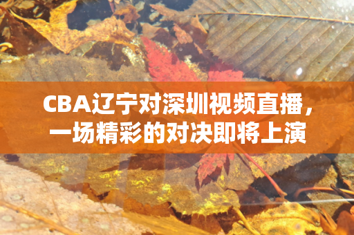 CBA辽宁对深圳视频直播，一场精彩的对决即将上演