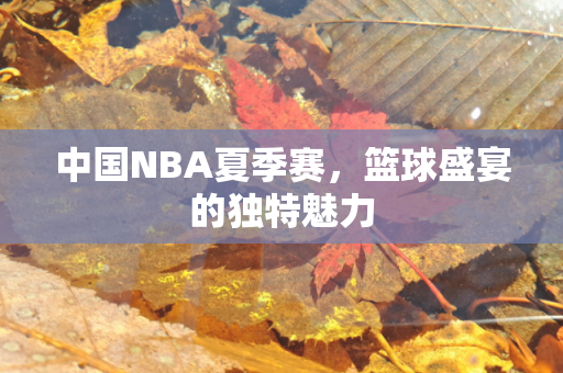 中国NBA夏季赛，篮球盛宴的独特魅力
