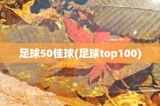 足球50佳球(足球top100)