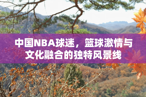 中国NBA球迷，篮球激情与文化融合的独特风景线