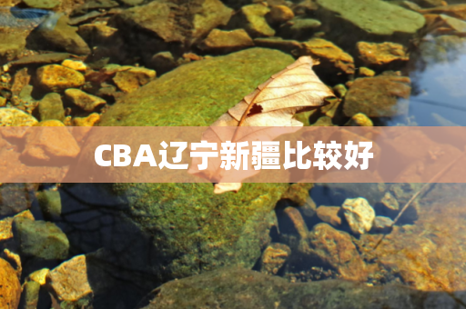 CBA辽宁新疆比较好