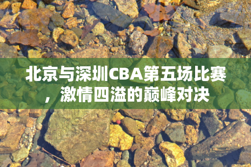 北京与深圳CBA第五场比赛，激情四溢的巅峰对决