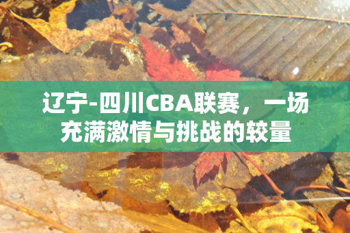 辽宁-四川CBA联赛，一场充满激情与挑战的较量